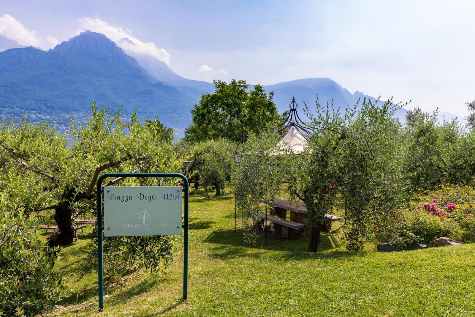 Bellagio Village- 4 Apartments By The Lake - Seasonal Warm Pool And Sauna Oliveto Lario Экстерьер фото